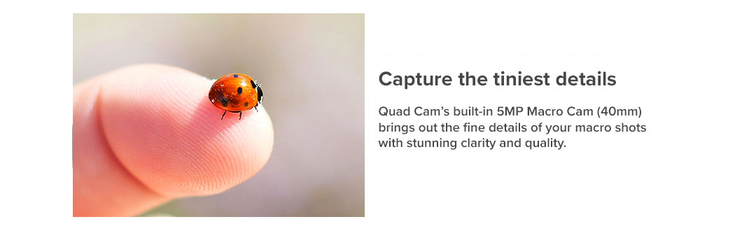 Capture the tiniest details