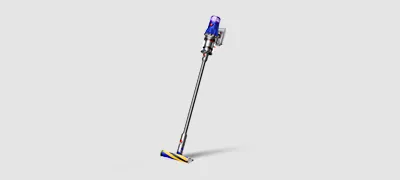 Dyson V12 Detect Slim Fluffy