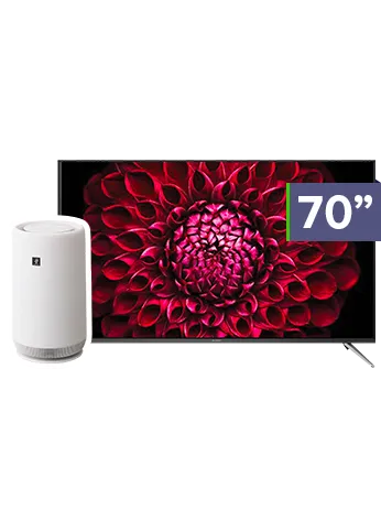 70” 4K UHD TV with Tower Air Purifier Bundle