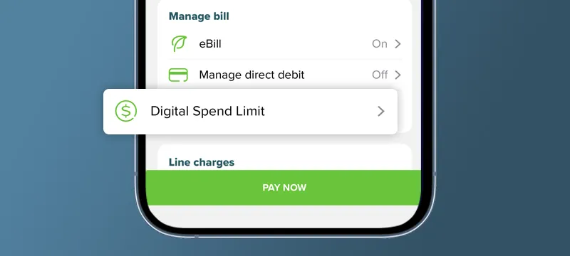 Select 'Digital Spend Limit' under 'Manage Bill'