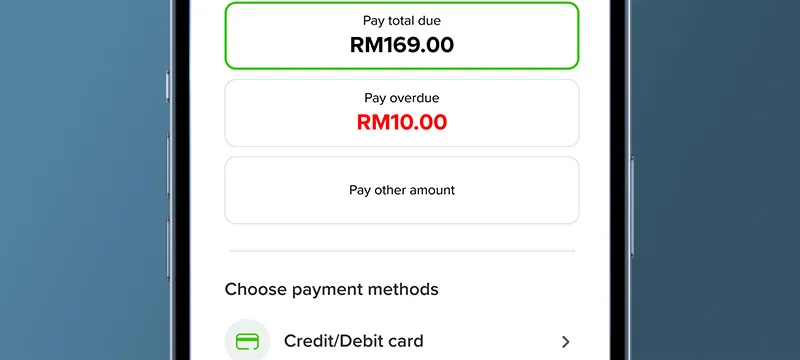 For 'Pay Now' fill in payment details and select payment method 