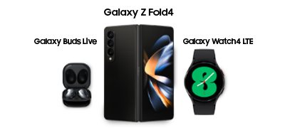 SAMSUNG Galaxy Z Fold4 5G Bundle