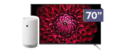 SHARP 70” 4K UHD TV with Tower Air Purifier Bundle